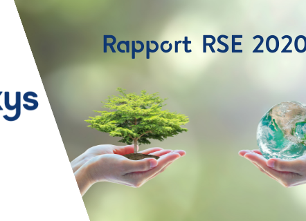 rapport rse axys consultants